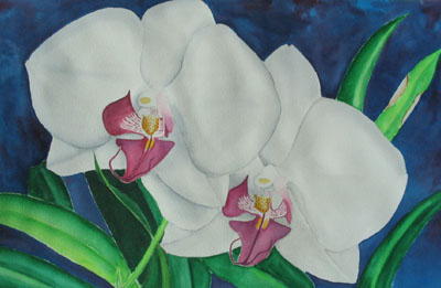 A circle of divers practice their skills